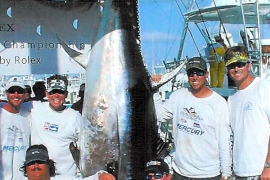 VITAMINSEA 800lb BLUE FIN TUNA
